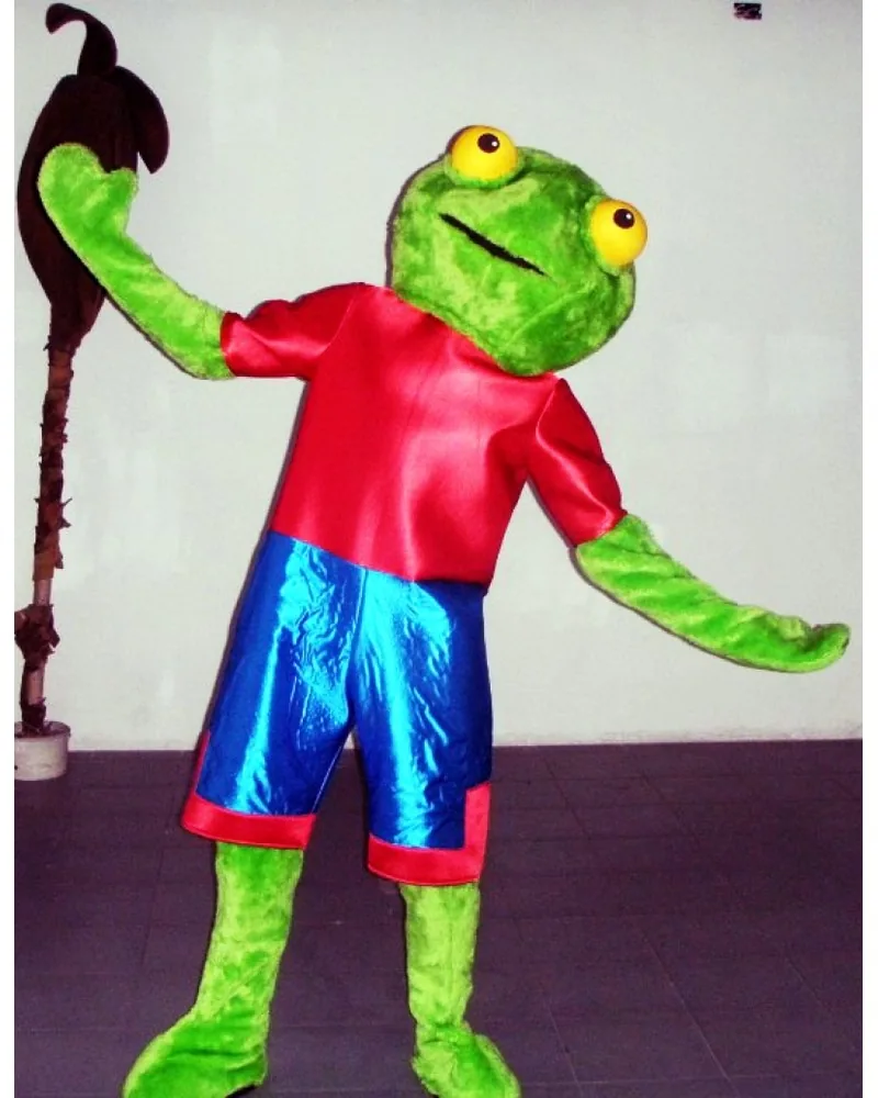 Disfraz de Sapo Pepe - alquiler en Buenos Aires | Disfraces Brujas